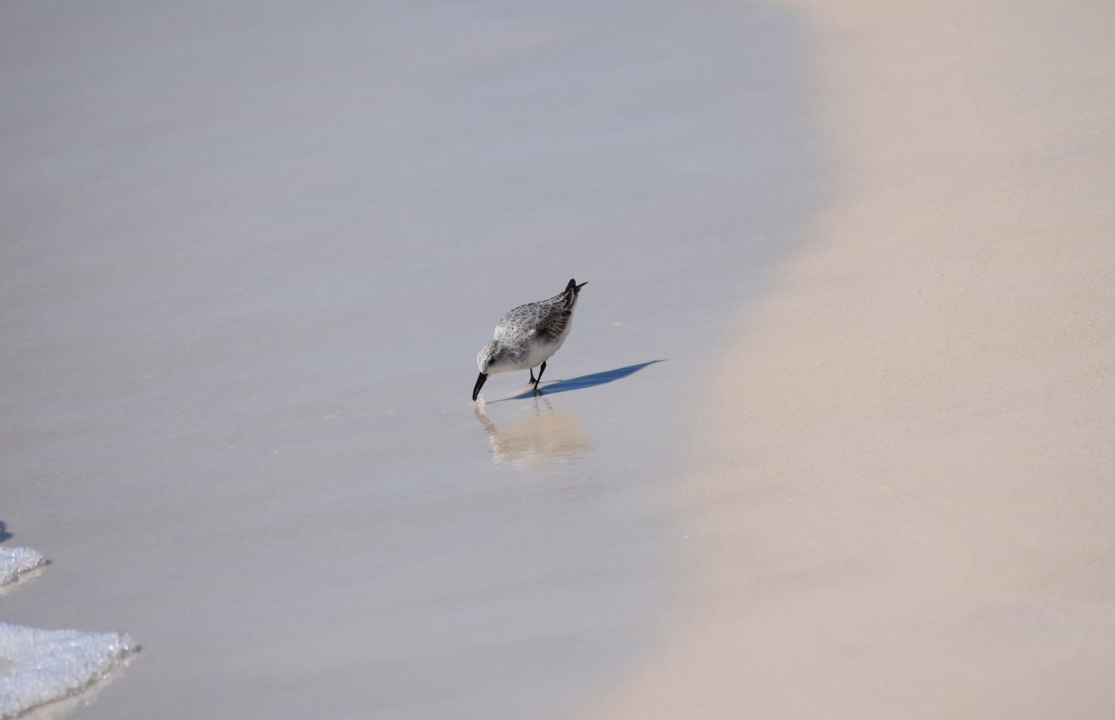 Mexico Beach