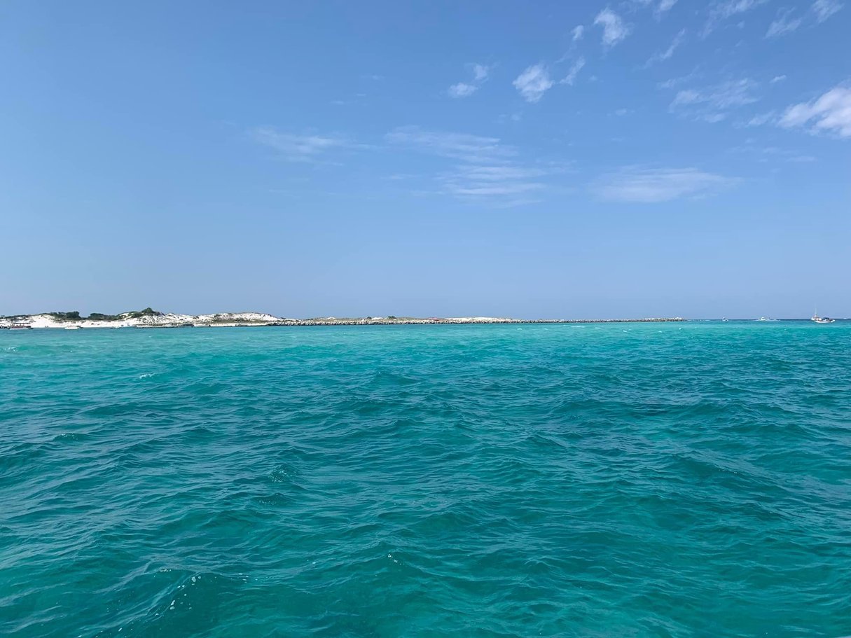 Shell Island, white sand and emerald water