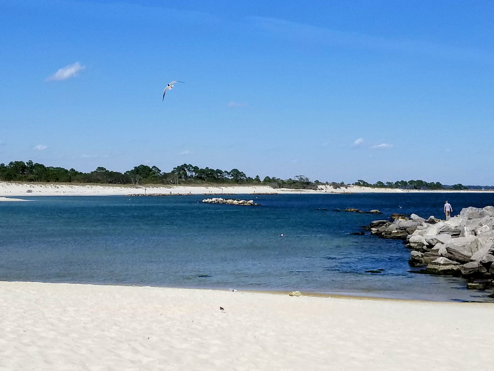 Sugar-white sand at St. Andrews State Park