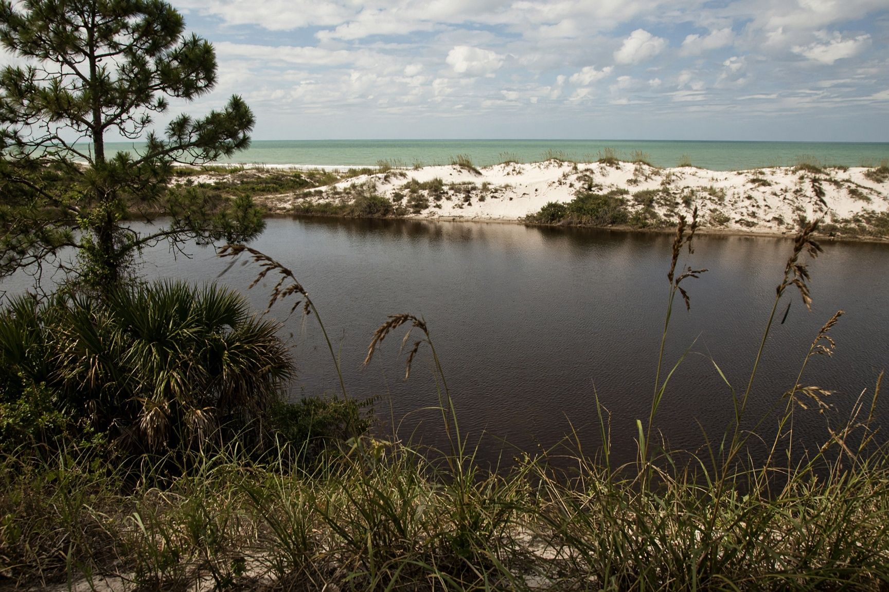 A dune lake in Walton County