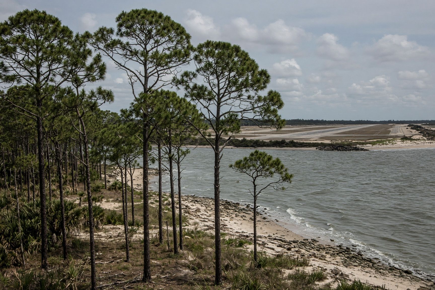Pines and the bay east of Panama City, toward Tyndall